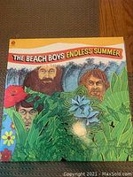 Front cover of The Beach Boys Endless Summer vinyl album showing illustrated artwork of band members behind leaves.