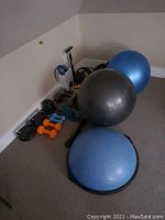 Photo showing black Bosu ball with blue base, two large Pilates balls (black and blue), dumbbells, and other exercise accessories.