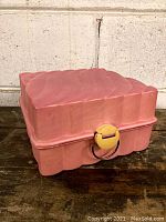 Closed view of pink molded plastic jewelry case with gold-tone metal clasp