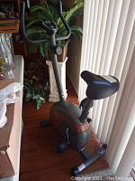 Front left side view of upright stationary exercise bike with digital display and cushioned seat near window with plants in the background.