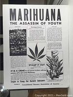 Full view of the poster showing title, main images of marijuana leaf and plant, and explanatory text.