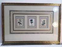 Framed trio of antique botanical engravings overall view