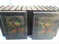 All 14 volumes front covers and spines grouped in two rows