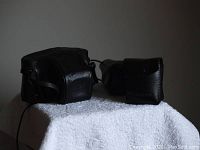 Black leather camera carrying case and leather flash case on white surface.