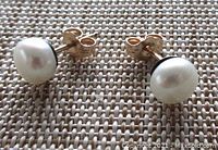 Pair of 7mm white button-shaped cultured freshwater pearl stud earrings with gold filled posts and butterfly backs on textured brown background.
