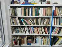 Books of various genres arranged on three white shelves, a mix of hardcover and paperback with visible titles and worn edges on some books.