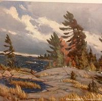 Close-up of the print showing rocky shoreline, water, and trees under a cloudy sky