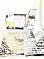 Image showing Umbra Wallflower decor box with white 3D flowers and three sheets of gold, silver and black craft alphabet stickers spread out in front