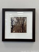 Framed black and white photo showing Eiffel Tower through bare tree branches, framed with white matting and dark wood frame.