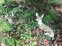 Two cement deer statues partially covered in foliage, showing overall shape and outdoor placement in wooded garden space.