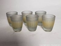 Front angle showing all six frosted and etched shot glasses arranged in two rows.