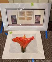 Two artworks shown side by side on a carpet floor, wrapped in clear plastic, one with framed texts and images, the other with close-up flower image.