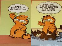 Two Garfield posters side by side featuring Garfield with thought bubbles containing humorous quotes.