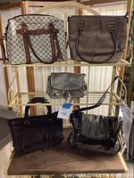 Full lot of 5 purses displayed on shelves, showing various styles and colors.