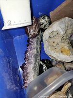 Blue plastic bin containing a variety of geodes and rocks including a large amethyst cluster and various fossil fragments.