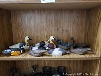 Nine bonded wood duck sculptures arranged on a wood shelf, showing variety of species and detailed hand painting.