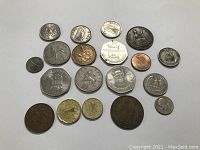 A full view of all 19 Irish coins showing various sizes, metals, and designs including animals, shields, and commemoratives.