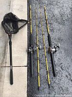 Two disassembled yellow-and-black Fenwick rods side by side with attached reels, alongside folded net handle and mesh