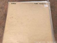 Top view of 15 vinyl LPs in sleeves, front cover visible for Todd Rundgren Faithful album showing some discoloration and wear.