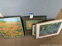 Group photo of all five framed floral art posters resting on floor showing various floral themes and frame colors