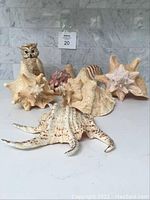Photo showing assorted shells and owl figurine on marble background