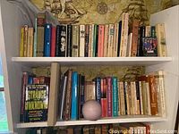 Wide view of two shelves filled with assorted books of various sizes and colors