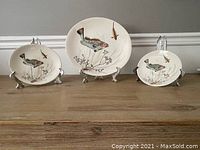 Three Johnson Brothers fish series plates displayed upright, showing illustrations of fish and plants on each plate.