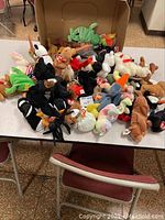 Overview of a large assortment of Ty Beanie Babies laid out on a table showing various colors, animals, and fantasy creatures.