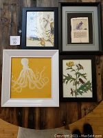 All four framed prints arranged together on a wooden surface showing different subject matter and frame colors.