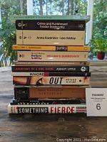 Stack of 13 books showing titles and authors on the spines, including classics and contemporary fiction.