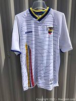 Front view of white Ecuador soccer jersey with blue thin lines and Ecuador flag stripe on the left side, Ecuador crest and text on chest.