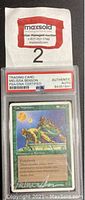 Front view of the PSA/DNA certified authenticated trading card sealed in hard plastic case with visible artwork, title, and part of text.