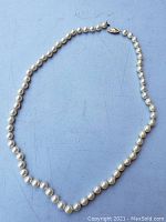 Full view of the 19 inch pearl strand necklace laid flat showing the pearl beads and gold clasp.