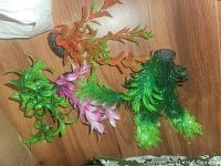 Five different colored plastic fish tank plants arranged on wooden surface to show variety and detail.
