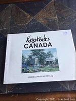 Front cover of the book showing the title, author's name and central painting image.