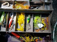 Open tackle box showing multiple compartments fitted with assorted soft plastic lures, rubber worms, and hard plastic fishing lures in various colors and shapes.