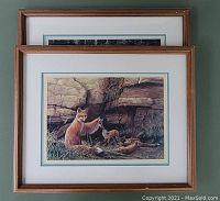 Framed art print of fox family in natural rocky and grassy setting, signed and numbered