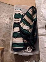 Striped dark green and white hammock fabric folded inside clear plastic storage bin on basement floor.