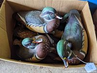 Six duck decoys seen inside a cardboard box, showing detailed painted heads and bodies resembling mallards with green heads and detailed feathers.