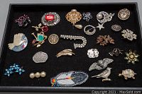 Full collection of 26 assorted costume brooches displayed on black velvet including birds, flowers, leaves, and geometric designs.
