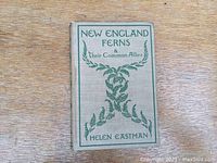 Front cover of the book showing title and author with green fern motif on gray background.