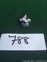 Star-shaped tumbled snowflake obsidian stone on dark green background with lot number 788