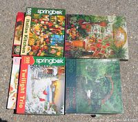 Ten vintage Springbok jigsaw puzzle boxes arranged outdoors showing front cover artwork and varying box conditions. Puzzles contain 500 to 1000 pieces. Some boxes taped shut to prevent piece loss.