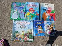 Six Disney princess-themed books including Cinderella, The Little Mermaid, Sleeping Beauty, Disney Fairies paper dolls, Aladdin, and Frozen titles seen on outdoor surface.