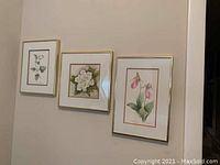 Three framed botanical prints featuring different flowers hung on a wall
