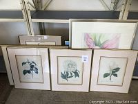 Five framed pictures arranged on the floor against a shelf, showing detailed botanical prints with beige mats and gold frames.