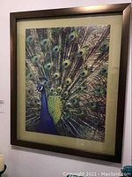 Full front view of framed peacock artwork hung on wall.