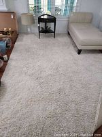 Full view of large white rug on wood floor next to room furniture, showing pile and texture.