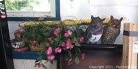 Wide view of shelf showing garden owls, floral display, and plant pots near window, with yellow shade umbrella rolled behind them.