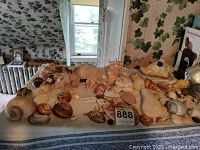 Table view showing a collection of diverse sea shells with several conch shells and other shell types spread out, plus shell-related books in the background.